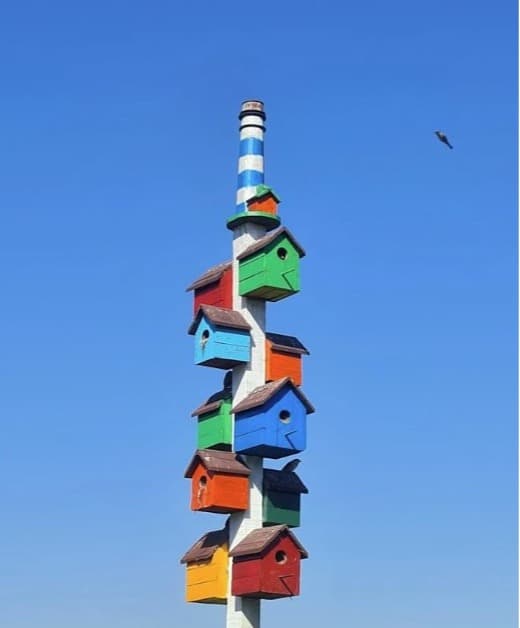 Sellers Direct Image 2